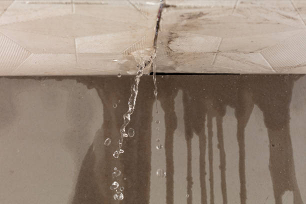 Professional Sewage Cleanup technician working in Paeonian Springs, VA
